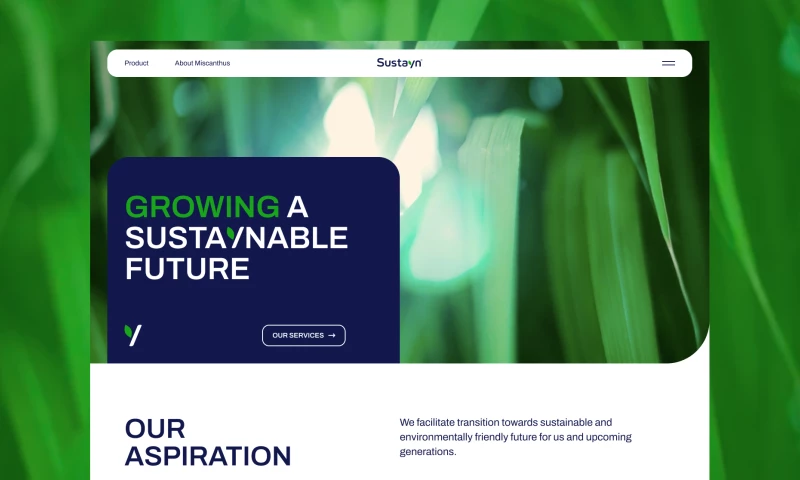 Solar Digital - Sustayn | Brand& Design Development