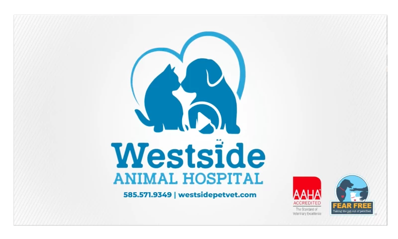 Westside Anima Hospital
