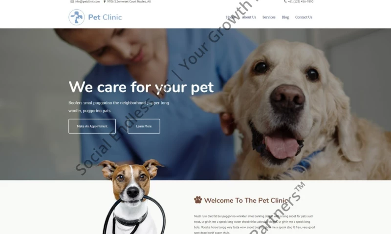 Social Endless - Palms