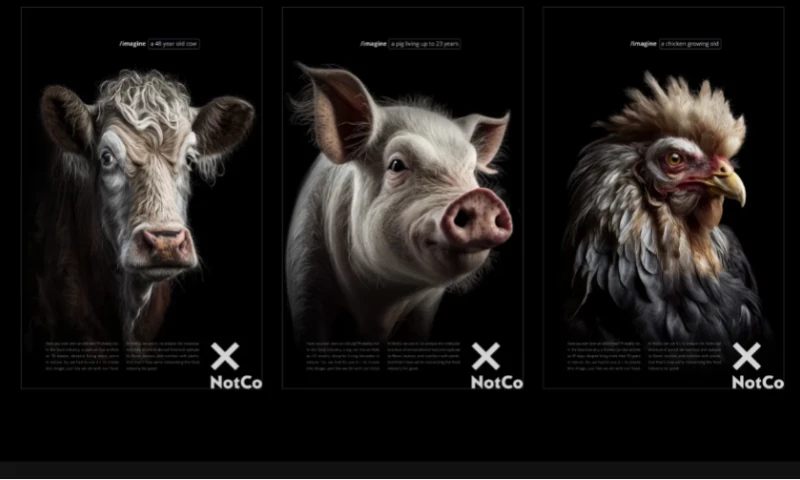 NotCo - Natural life expectancy