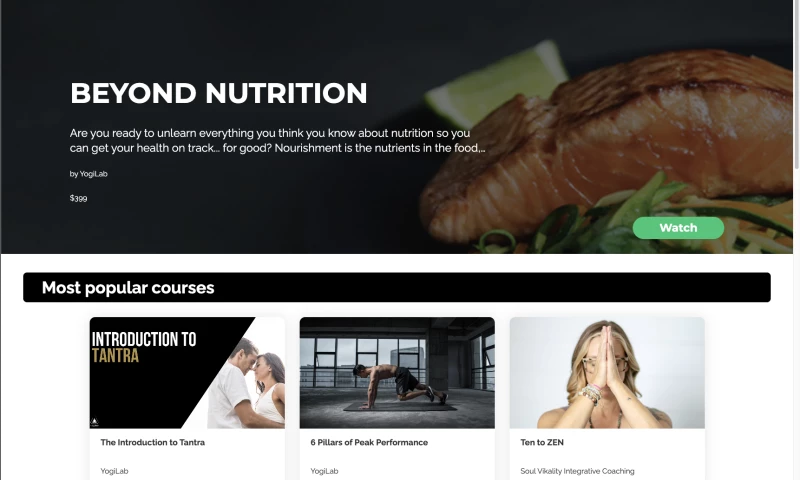 RipTech Solutions - GoVidiGo