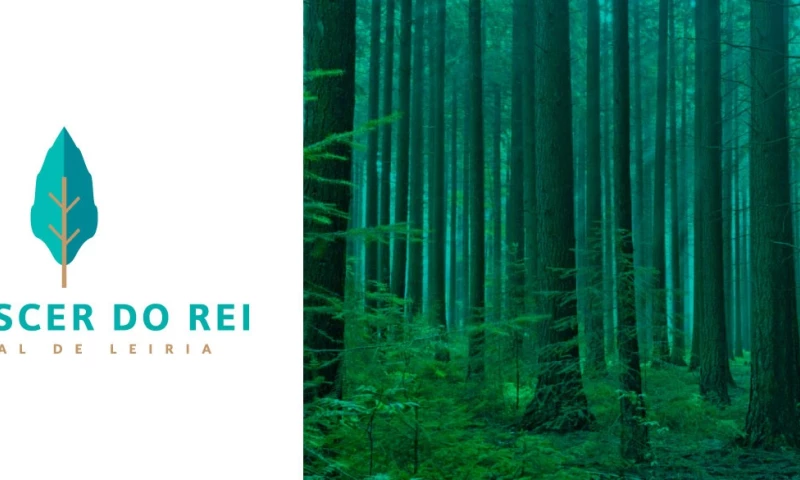 King's Rebirth | Siemens