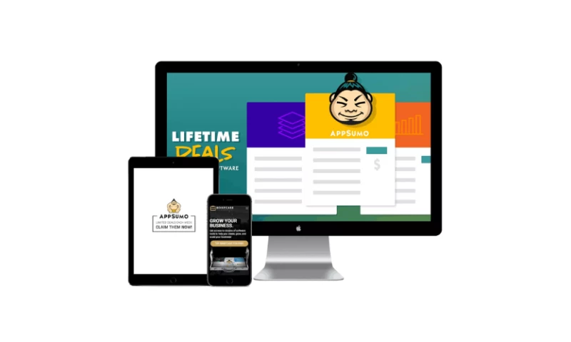 AppSumo Paid Acquisition Growth