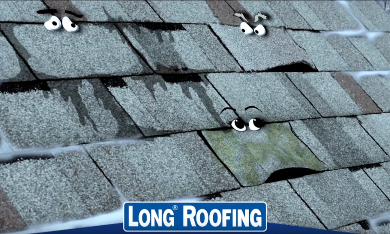 Long Roofing
