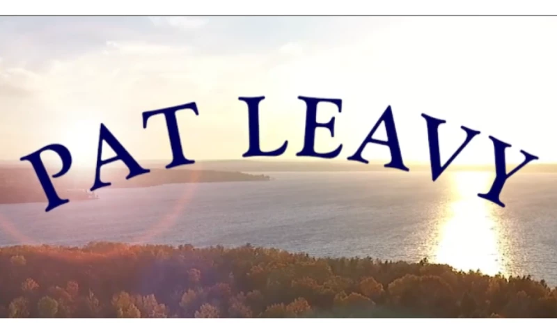 Pat Leavy Real Estate