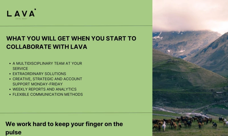 Social media brand amplification: Conquering Instagram, TikTok, Pinterest and YouTube