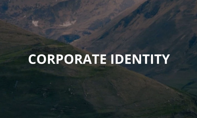 Lava Agency - Corporate identity