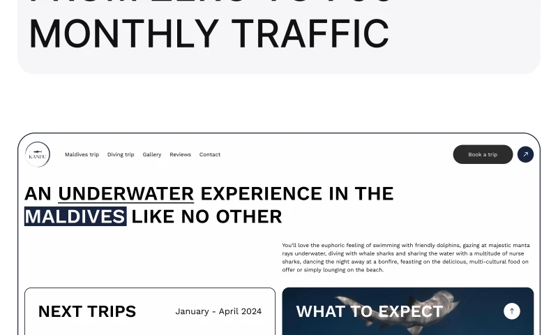 Website and SEO for Maldives travel agency