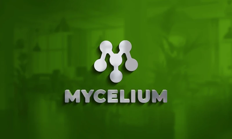 Starter Design - Mycelium brand identity