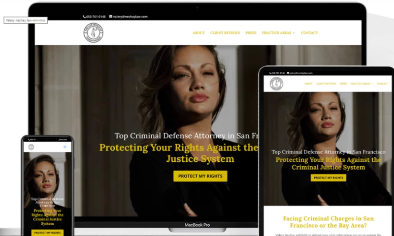 The Law Office of Valery Nechay