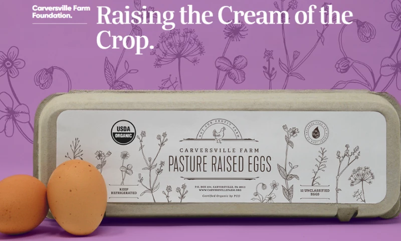 Aid&Abet - Carversville Farm Foundation