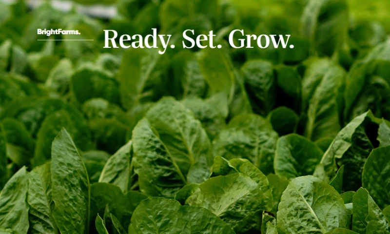 Aid&Abet - BrightFarms