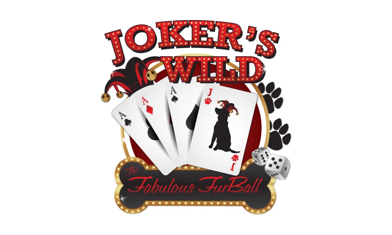 Vervocity - Quincy Humane Society - FurBall