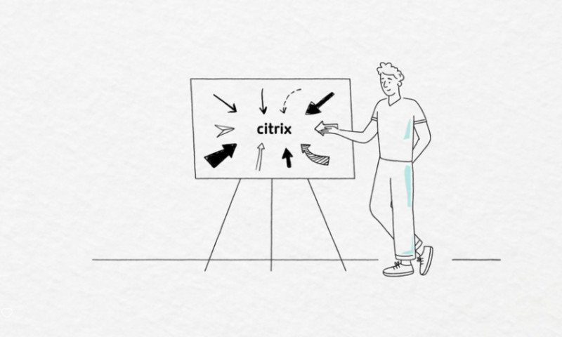 The Little Wild Ones - Citrix