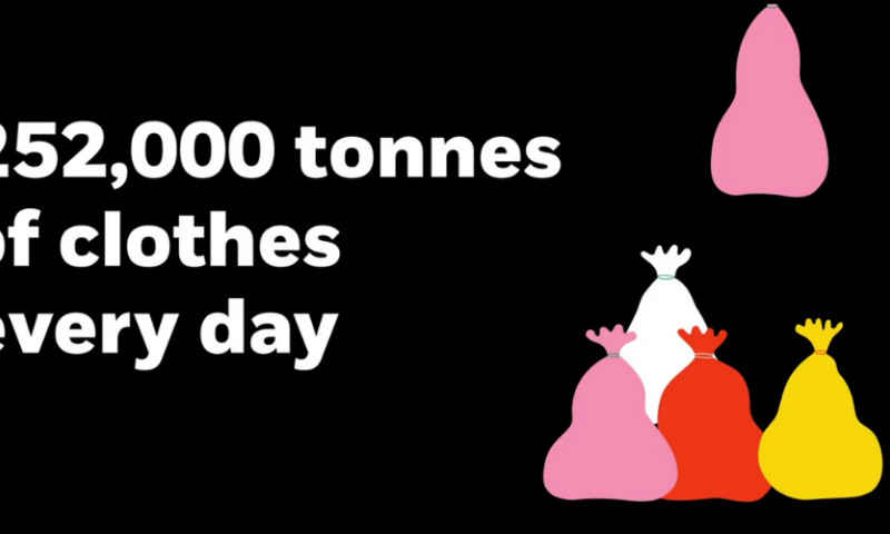 The Little Wild Ones - Circular Economy