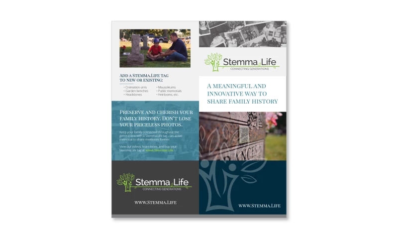 Vervocity - Stemma.Life