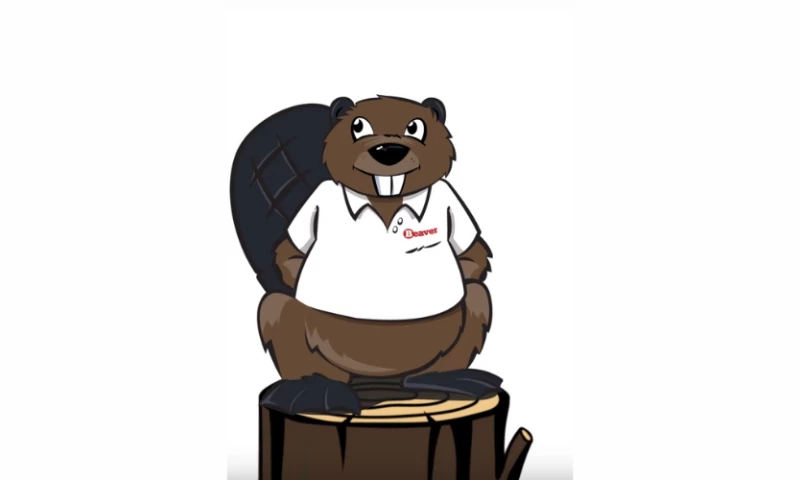 Beaver