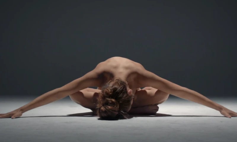 ZANE Productions - Dove