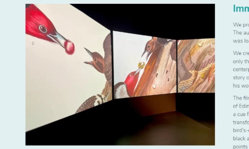 Audubons Birds Of America