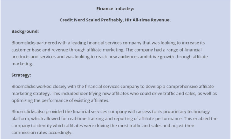 Finance Industry: Credit Nerd Scaled Profitably, Hit All-time Revenue.