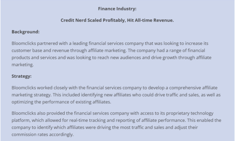 Bloomclicks Digital Advertising - Finance Industry: Credit Nerd Scaled Profitably, Hit All-time Revenue.