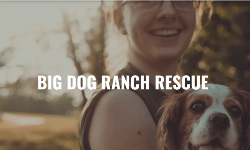 BIG DOG RANCH RESCUE