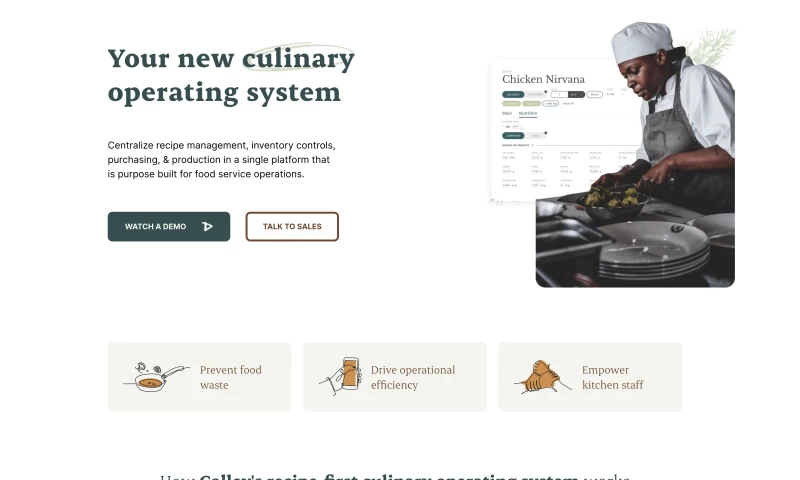 Dog and Rooster - Web Design and Development for Software Company