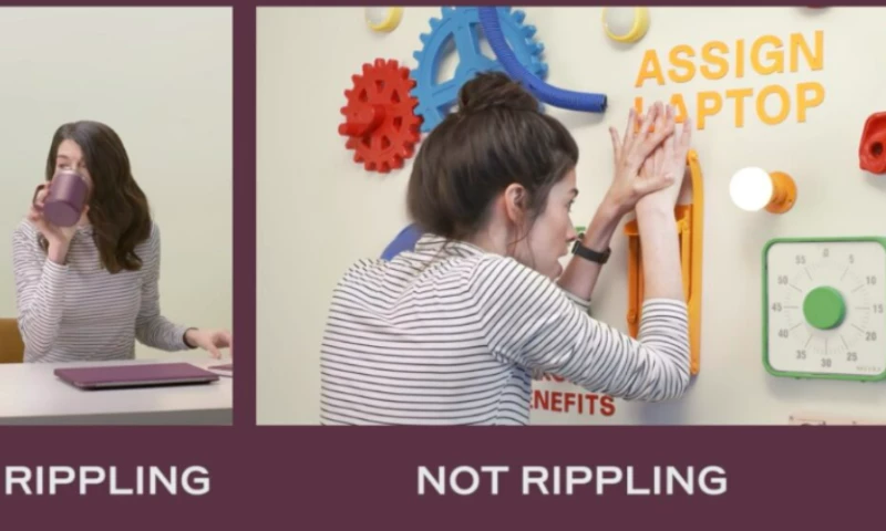 Demo Duck - Rippling