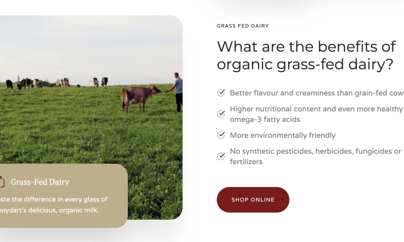 Knoydart Copywriting