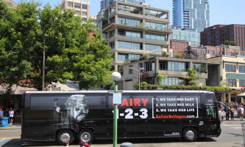 Increasing Awareness Using Cross-Channel Tactics for Social Cause