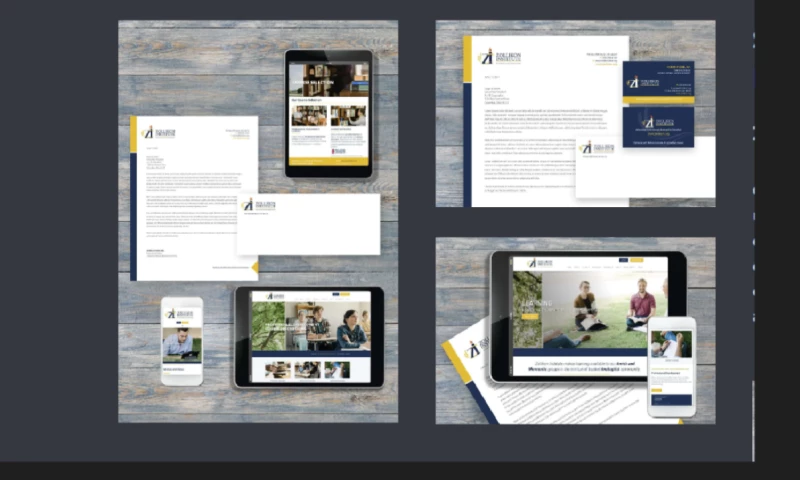 Linear Creative - Zollikon Institute | Marketing Materials