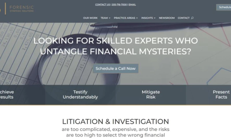 Forensic Strategic Solutions