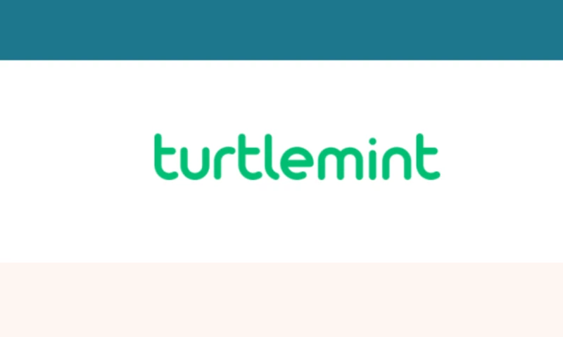 Turtlemint