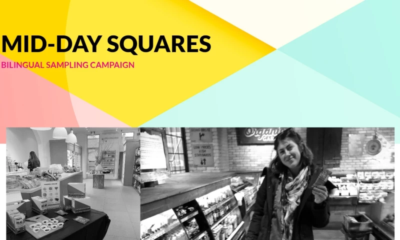 Reef Agency - Mid-Day Squares