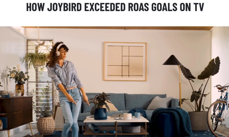 Joybird