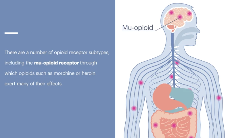 AVInteractive - Pharmaceutical Explainer animation