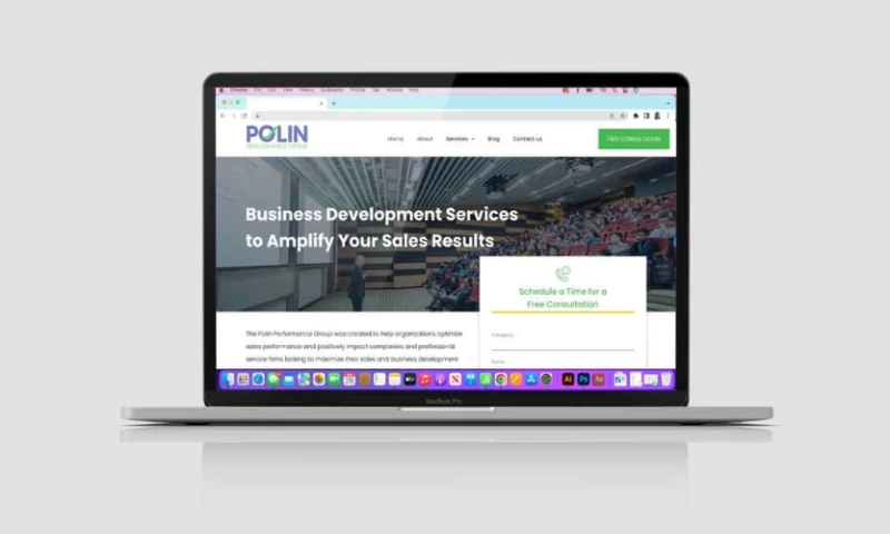 POLIN PERFORMANCE GROUP