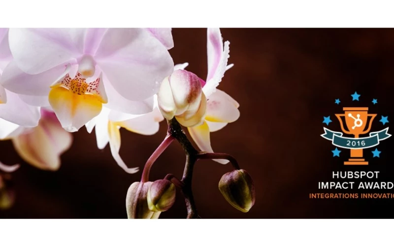 Kuno Creative - Just Add Ice