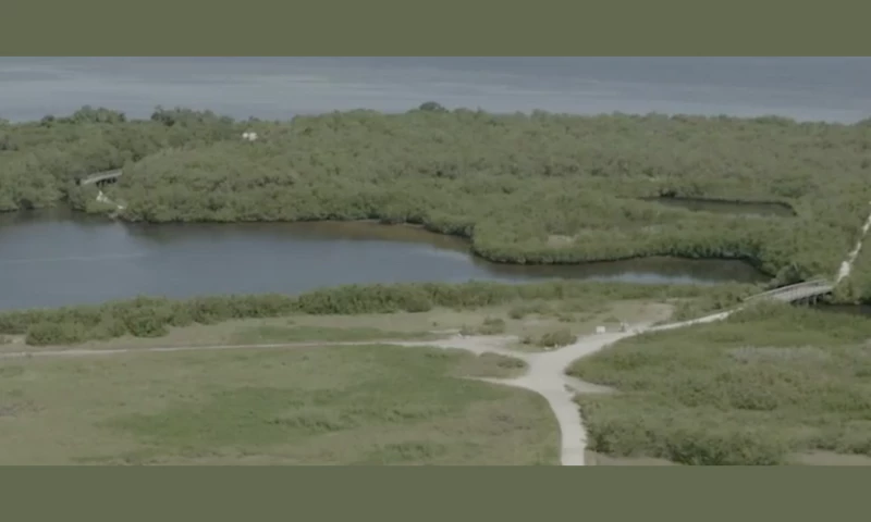 Winning Conservation Ballot Measures in Florida