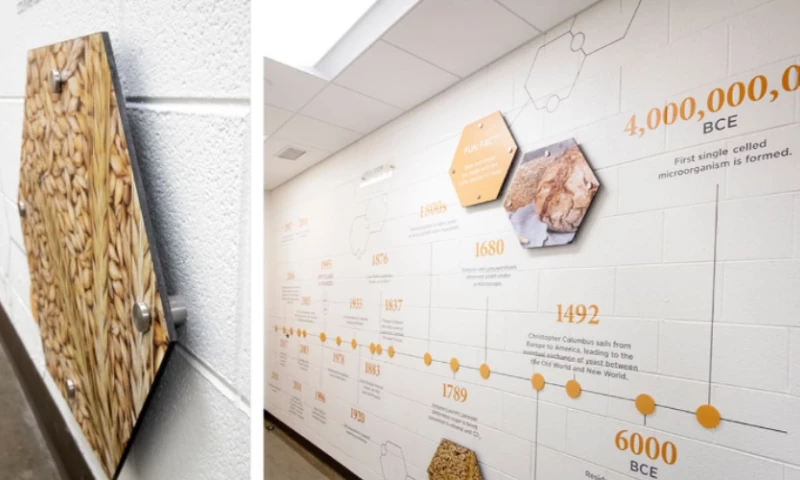 Kudzu Brands - White Labs