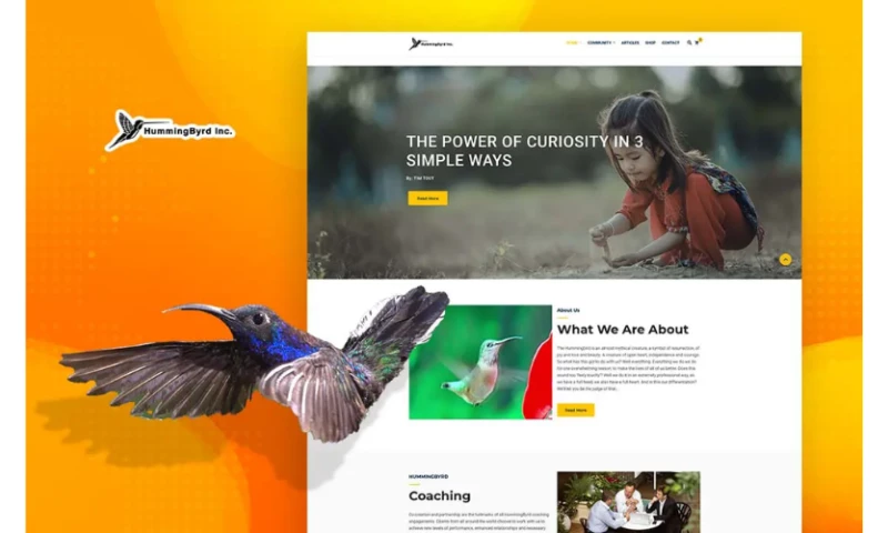 HUMMINGBYRDINC REVAMP