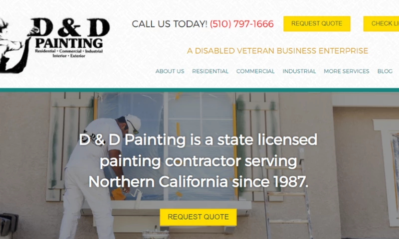 Rhino Digital Media - D & D Painting