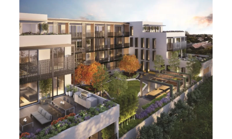 Forge and Smith - Nexii