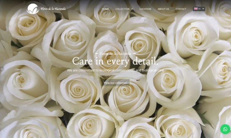 Pedro Pixel - Flores de la Hacienda