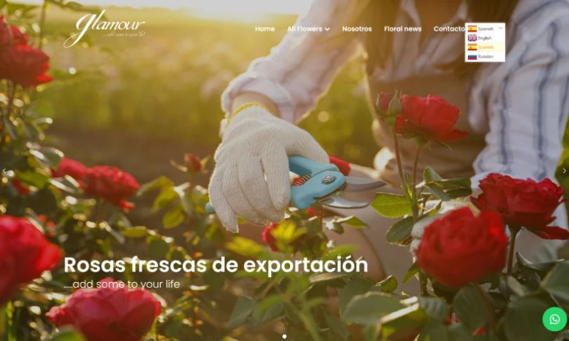 Pedro Pixel - Glamour