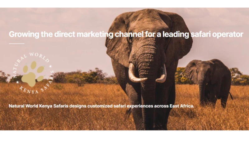 Natural World Kenya Safaris