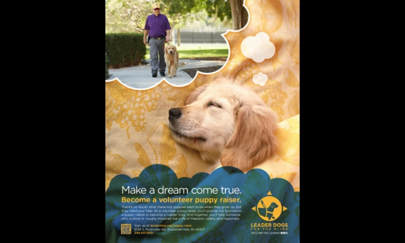 Vimarc - Leader Dogs