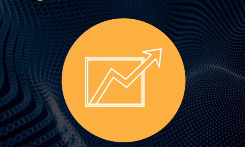 PAID SEARCH / PPC AGENCY