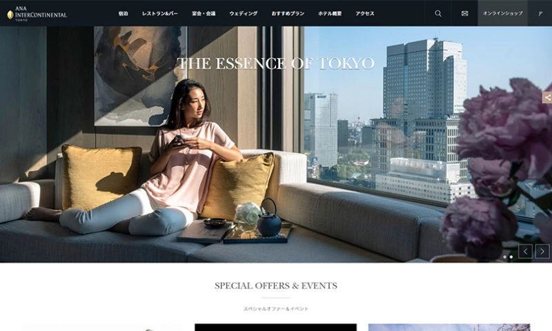 Netwise - ANA InterContinental Tokyo