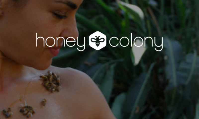 Tribe Interactive - HoneyColony